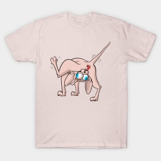 Crazy Sphynx 3 T-Shirt